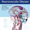 Decision Making in Neurovascular Disease 1st Edition PDF
