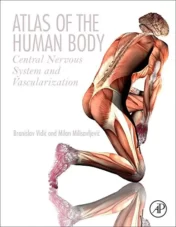 Atlas of the Human Body: Central Nervous System and Vascularization 1st Ed