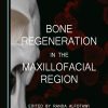 Bone Regeneration in the Maxillofacial Region