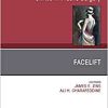 Facelift, An Issue of Clinics in Plastic Surgery (Volume 46-4) (The Clinics: Surgery, Volume 46-4)