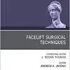 Facelift Surgical Techniques, An Issue of Facial Plastic Surgery Clinics of North America (Volume 28-3) (The Clinics: Surgery, Volume 28-3)