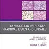 Gynecologic Pathology: Practical Issues and Updates, An Issue of Surgical Pathology Clinics (Volume 12-2) (The Clinics: Surgery, Volume 12-2)