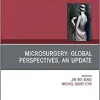 Microsurgery: Global Perspectives, An Update, An Issue of Clinics in Plastic Surgery (Volume 47-4) (The Clinics: Surgery, Volume 47-4)
