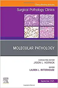 Molecular Pathology, An Issue of Surgical Pathology Clinics (Volume 14-3) (The Clinics: Surgery, Volume 14-3)