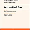 Neurocritical Care, An Issue of Neurosurgery Clinics of North America (Volume 29-2) (The Clinics: Surgery, Volume 29-2)
