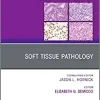 Soft Tissue Pathology, An Issue of Surgical Pathology Clinics (Volume 12-1) (The Clinics: Surgery, Volume 12-1)
