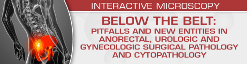 USCAP BELOW THE BELT: Pitfalls and New Entities in Anorectal, Urologic and Gynecologic Surgical Pathology and Cytopathology 2023