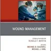 Wound Management, An Issue of Surgical Clinics (Volume 100-4) (The Clinics: Surgery, Volume 100-4)