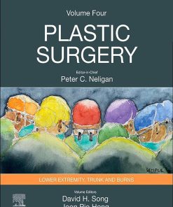 Plastic Surgery: Volume 4